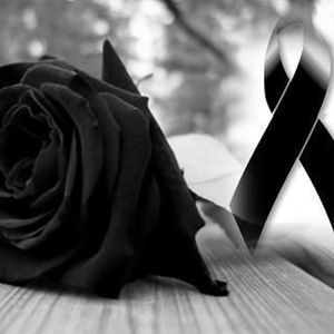 Meet your Posher, Larissa